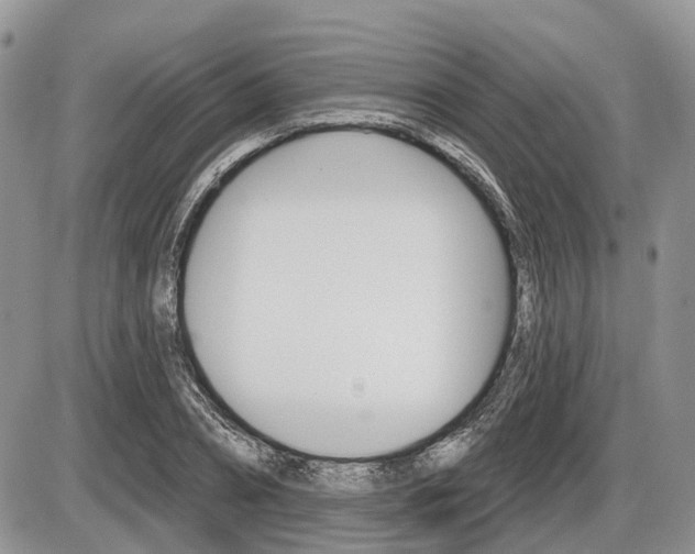 X0000087410882200704201018