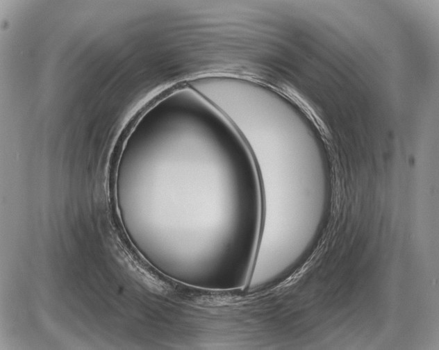 X0000087410884200704201018
