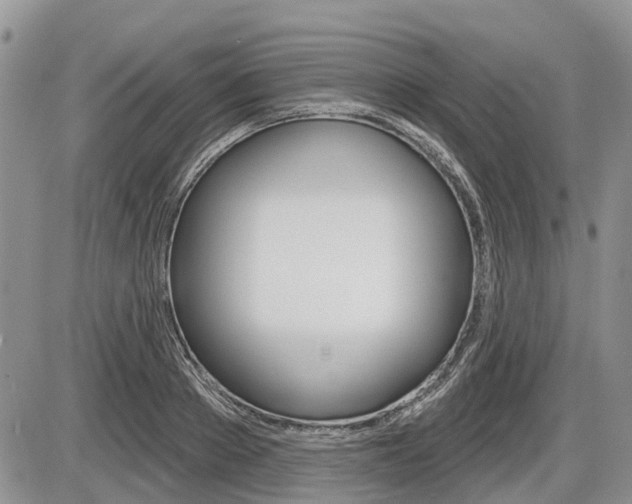 X0000087410889200704201018