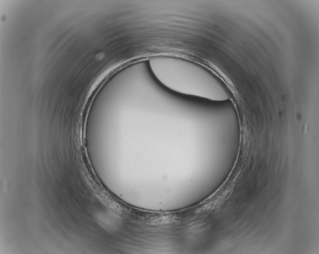 X0000087410891200704201017