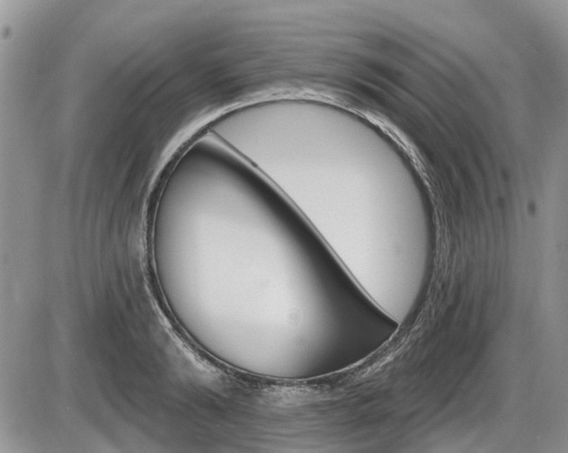 X0000087410894200704201017