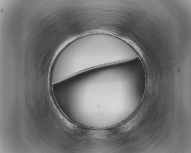 X0000087410902200704201017