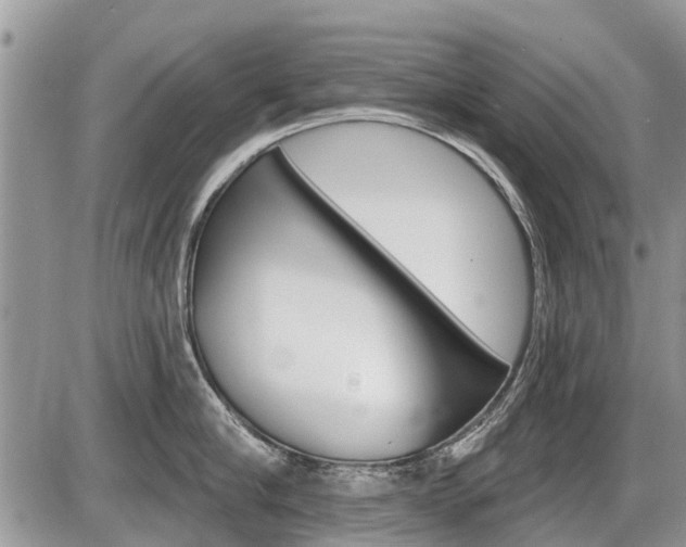 X0000087410910200704201017