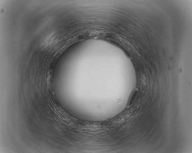 X0000087410914200704201016