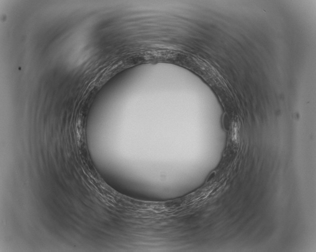 X0000087410915200704201016