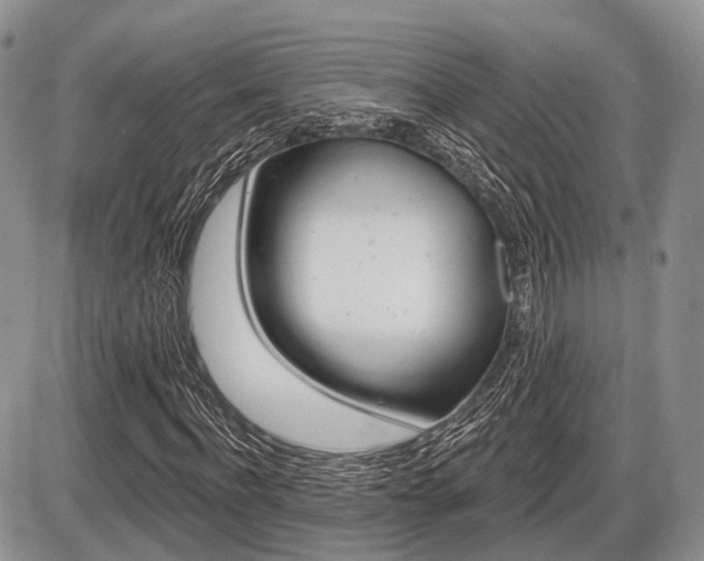 X0000087410916200704201016