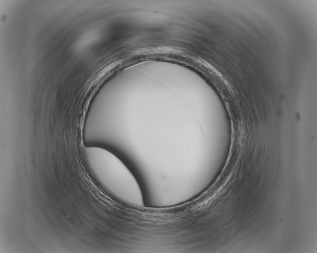 X0000087410921200704201016