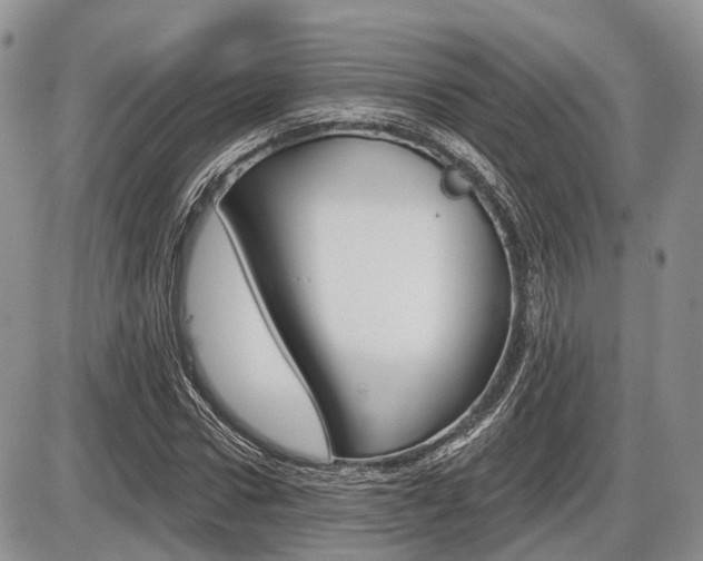 X0000087410922200704201016