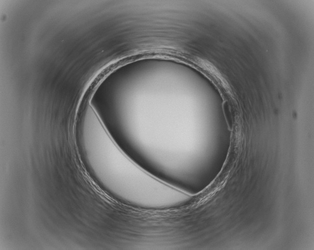X0000087410924200704201017