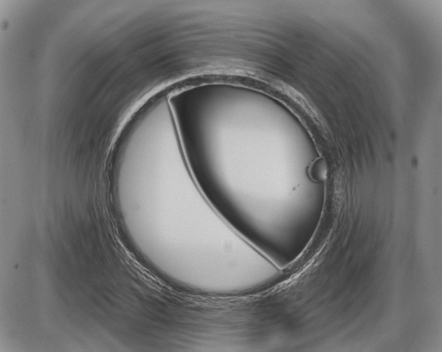 X0000087410926200704201017