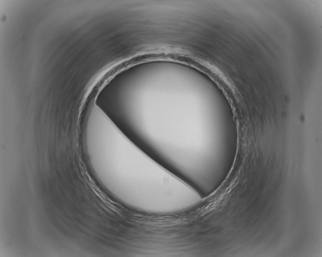 X0000087410927200704201017