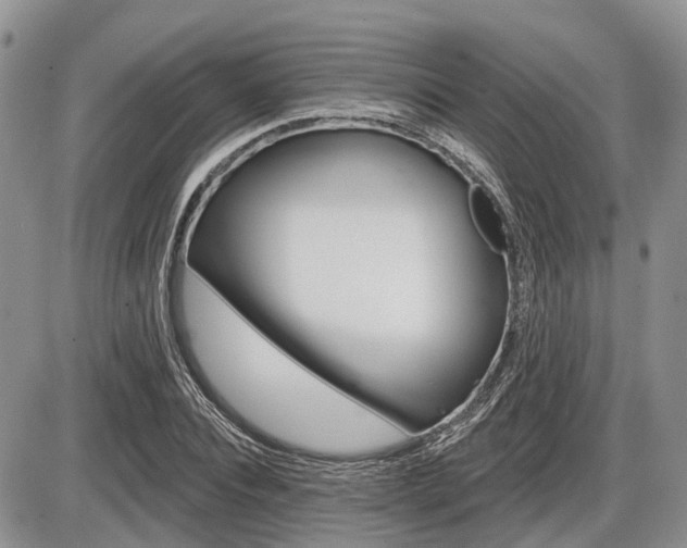 X0000087410928200704201017