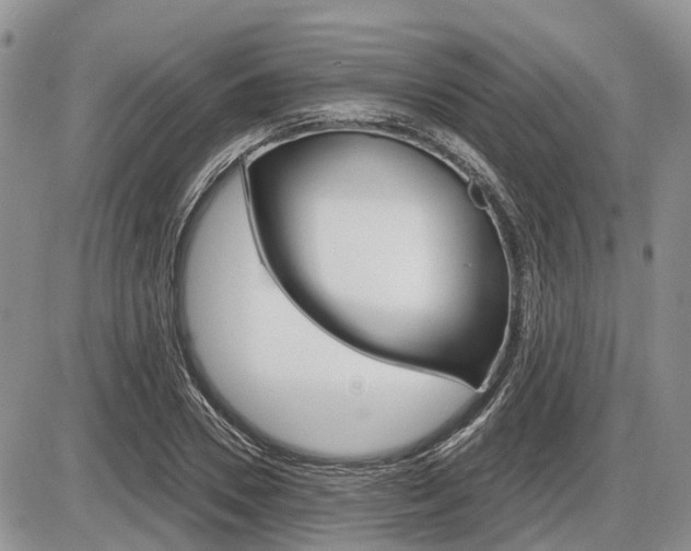 X0000087410930200704201017
