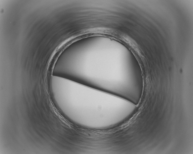 X0000087410931200704201017