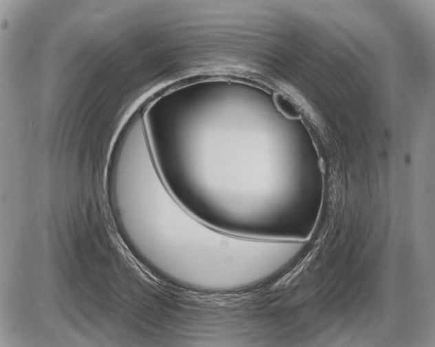 X0000087410932200704201017
