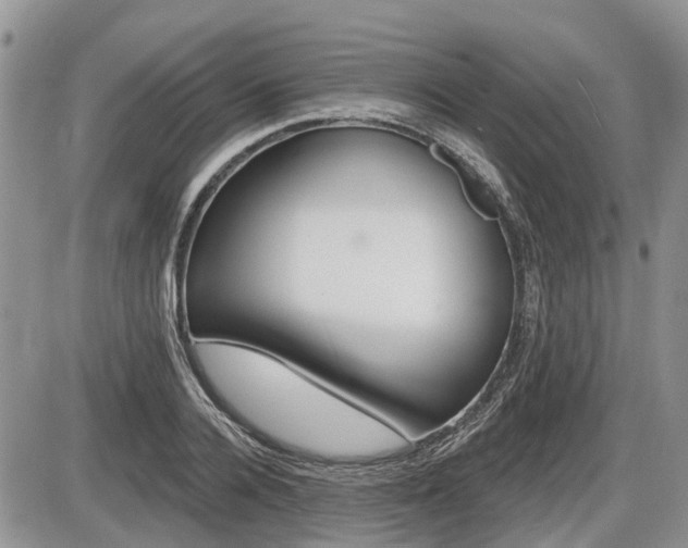 X0000087410936200704201017