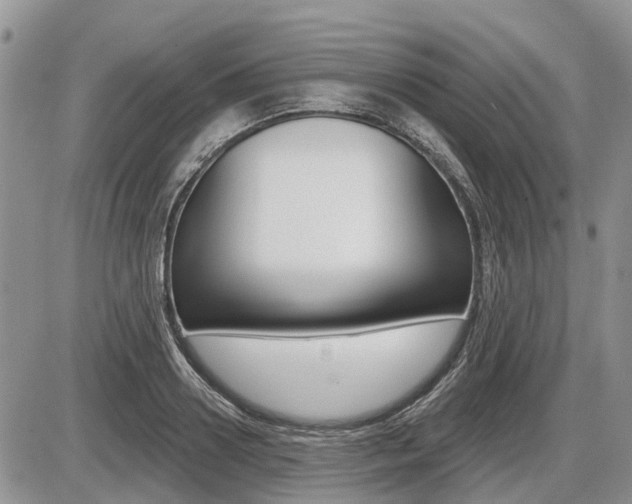 X0000087410938200704201017
