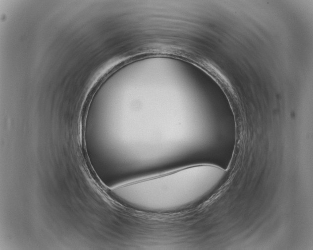 X0000087410940200704201017