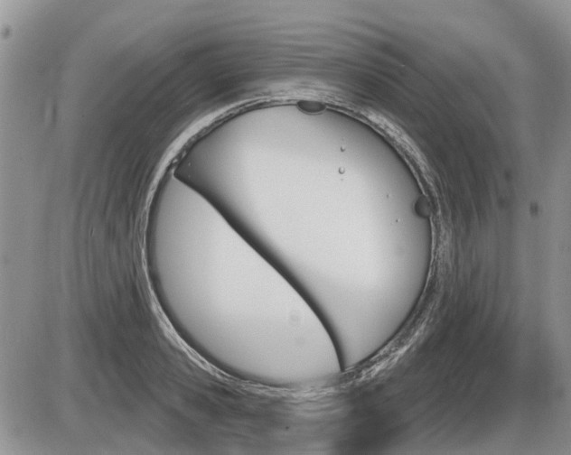 X0000087410941200704201017