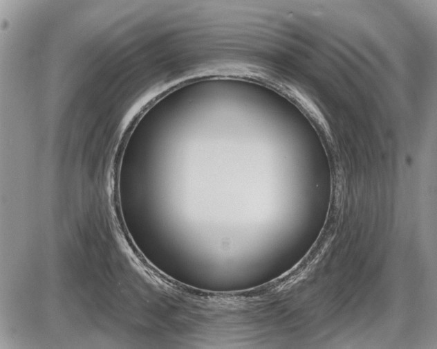 X0000087410944200704201017