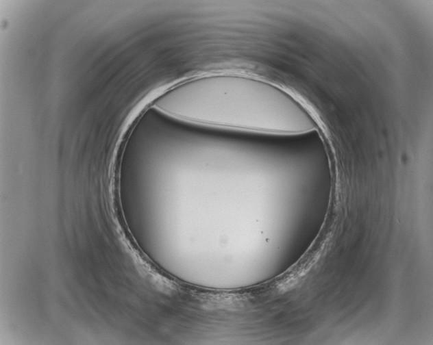 X0000087410949200704201017