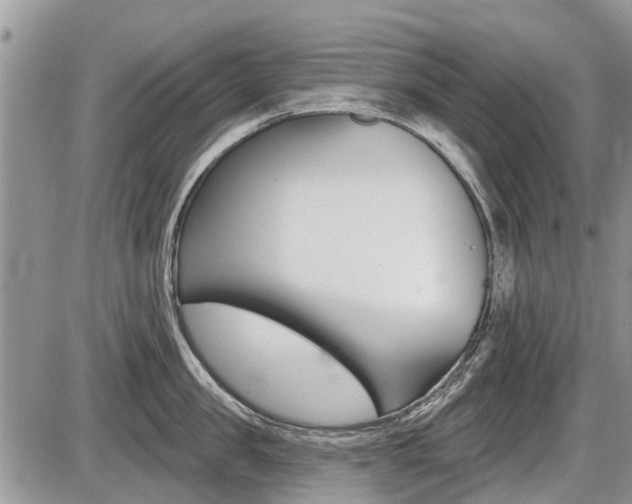 X0000087410957200704201017