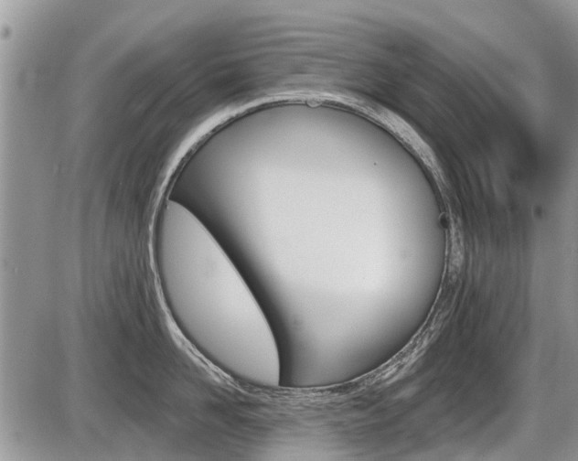 X0000087410958200704201017