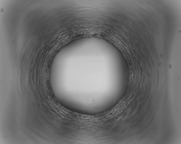 X0000087410961200704201016