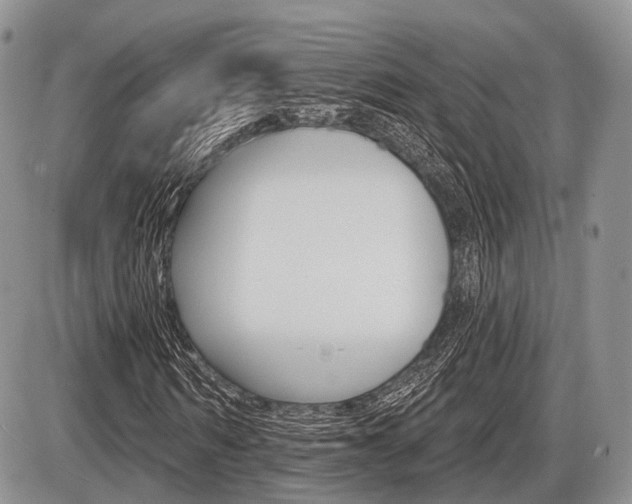 X0000087410962200704201016