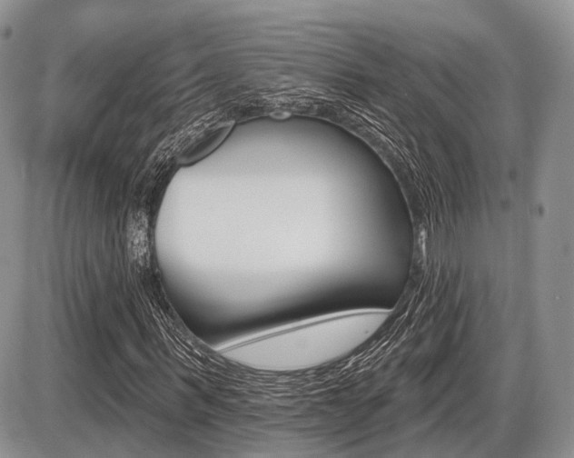 X0000087410963200704201016