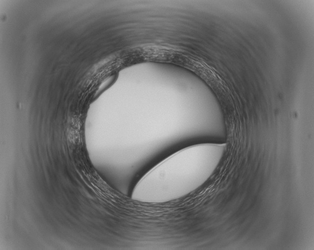 X0000087410964200704201016