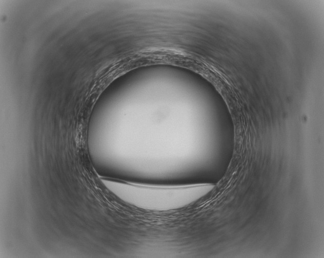X0000087410965200704201016
