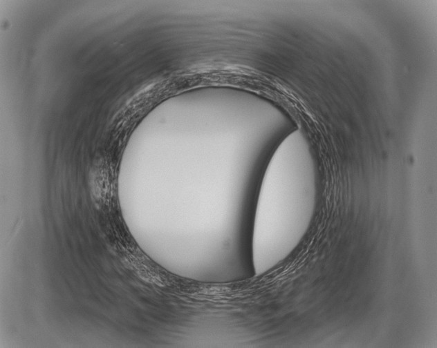 X0000087410966200704201016