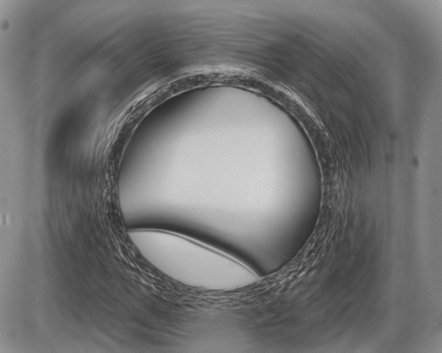 X0000087410967200704201016