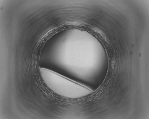 X0000087410968200704201016
