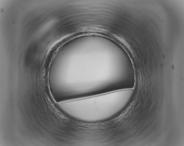 X0000087410971200704201016