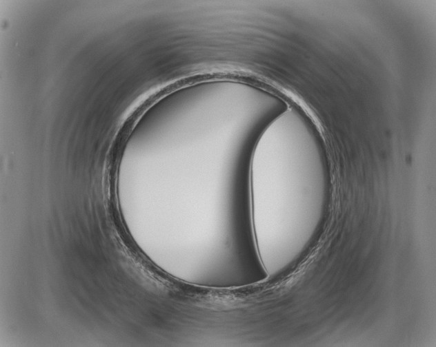 X0000087410983200704201016