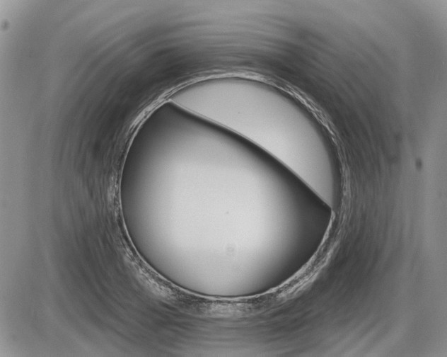 X0000087410985200704201016