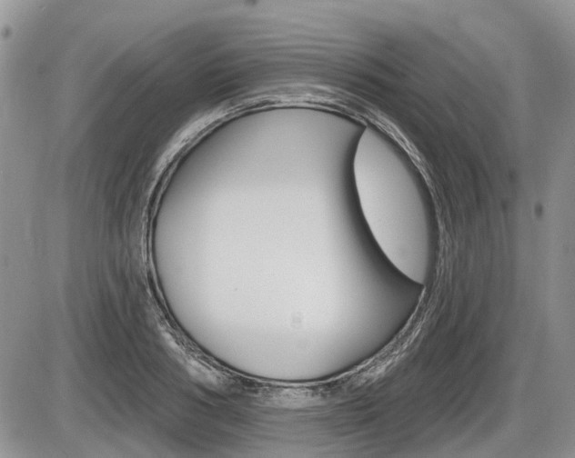 X0000087410986200704201016