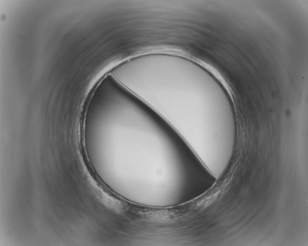 X0000087410999200704201016