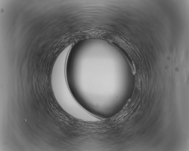 X0000087411010200704201015
