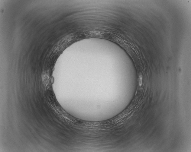X0000087411011200704201015
