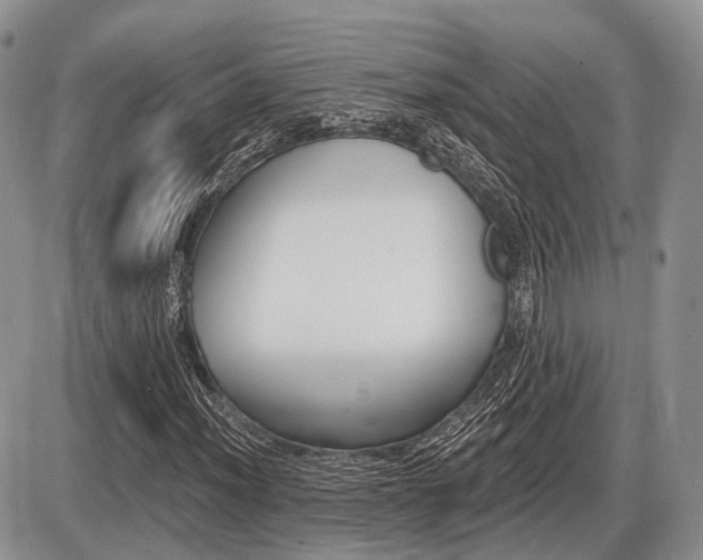 X0000087411012200704201015