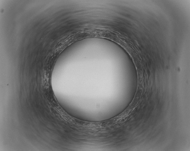 X0000087411013200704201015