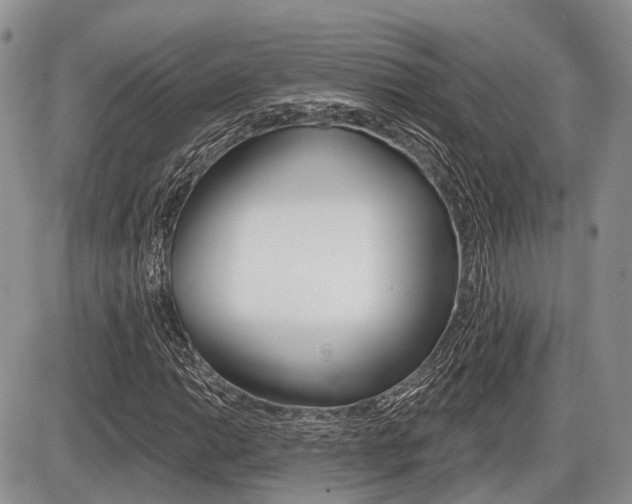 X0000087411014200704201015