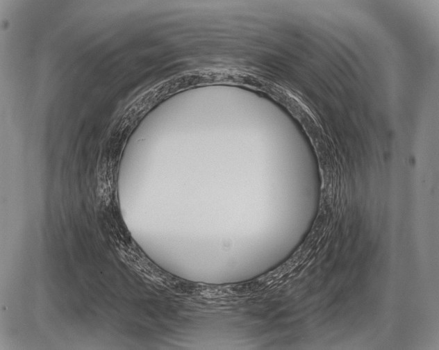X0000087411015200704201015