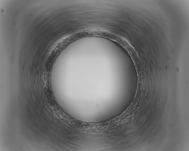 X0000087411016200704201015