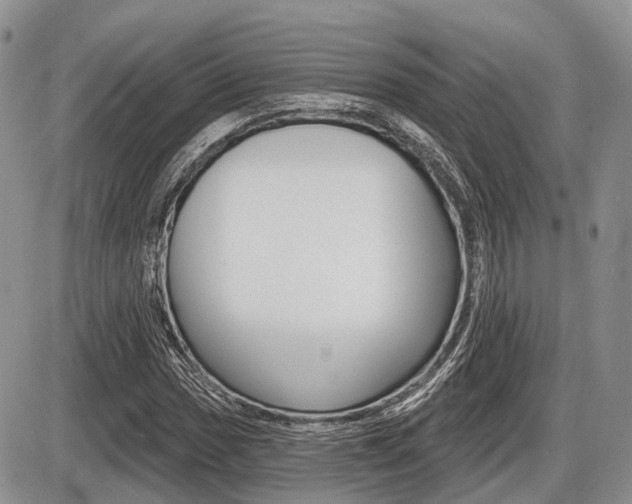X0000087411017200704201015