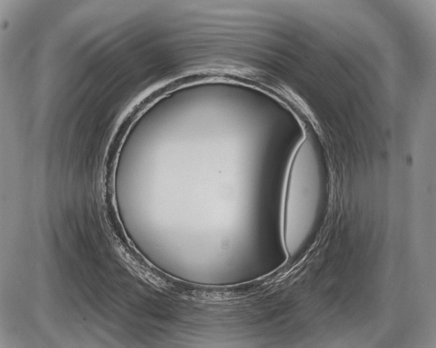 X0000087411020200704201015