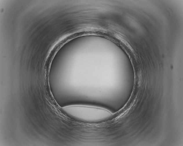 X0000087411021200704201015
